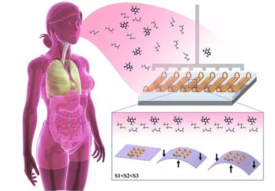 可彎曲納米傳感器根據呼吸診斷癌癥