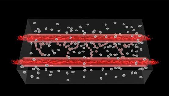 科學家用3D打印技術制造“活的”血管組織