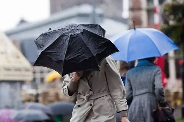 共享雨傘頻獲融資，是真機會還是偽需求？